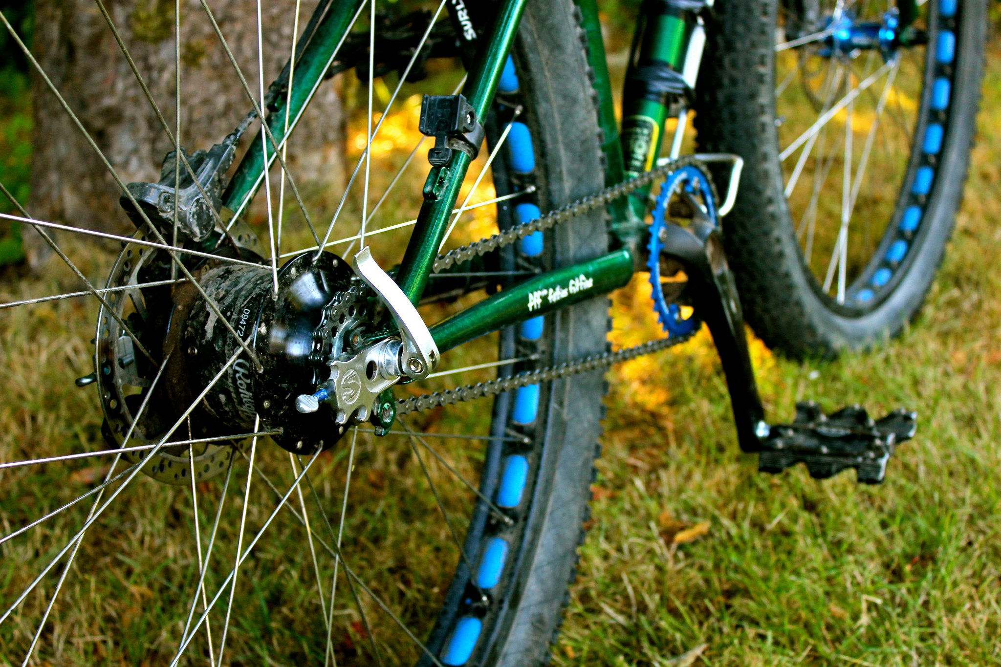 rohloff hub mountain bike